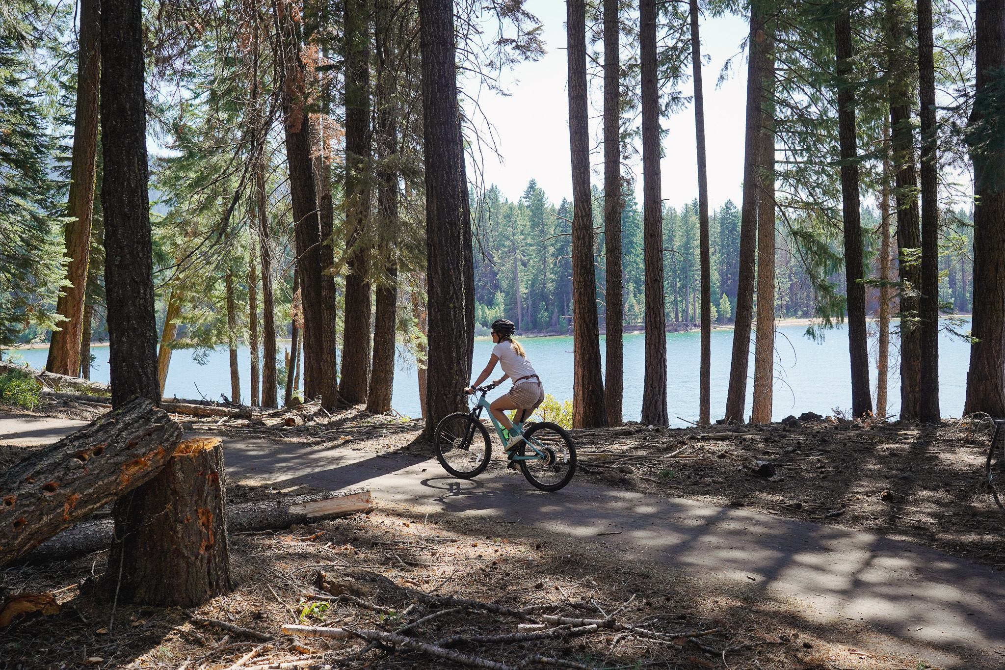 Shoreline 2025 bike trail